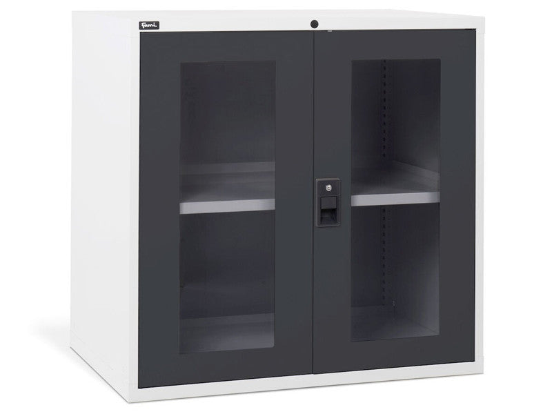Armoire de bureau Fami Master DE 1020x726x1000mm avec 2 portes en polycarbonate, 2000Kg - Gris RAL 7035 réf.D53A100C0100608